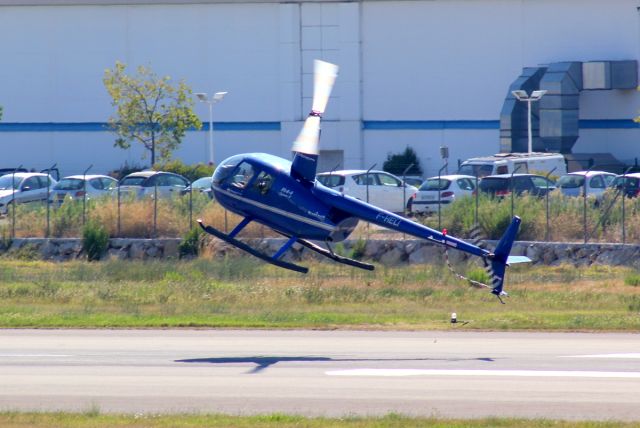 Robinson R-44 (F-HELI)