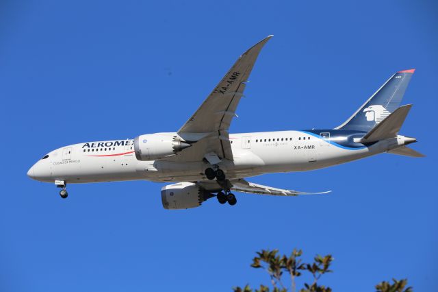 Boeing 787-8 (XA-AMR)