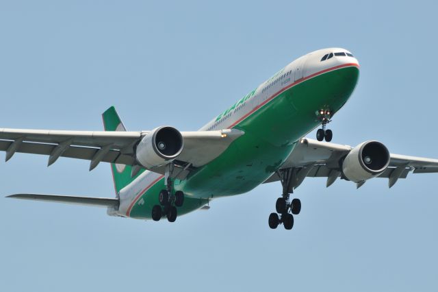 Airbus A330-200 (B-16308) - 2011/5/8