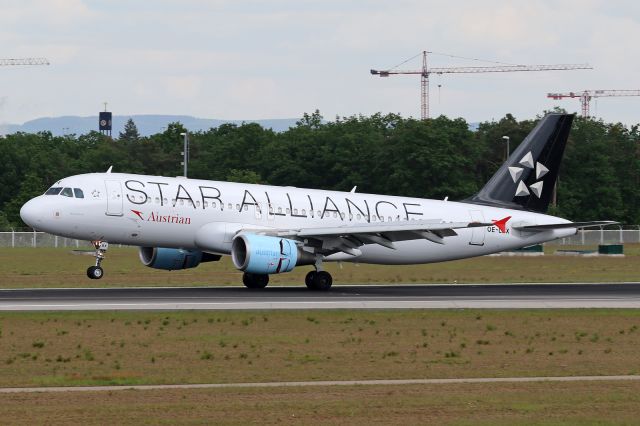 Airbus A320 (OE-LBX) - "Star Alliance" livery