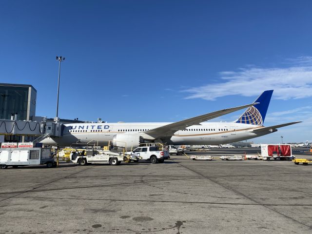 Boeing 787-9 Dreamliner (N19951) - DEL- EWR diversion. 11/6/24br /Thanks DD Thanks Alex Thanks Denise