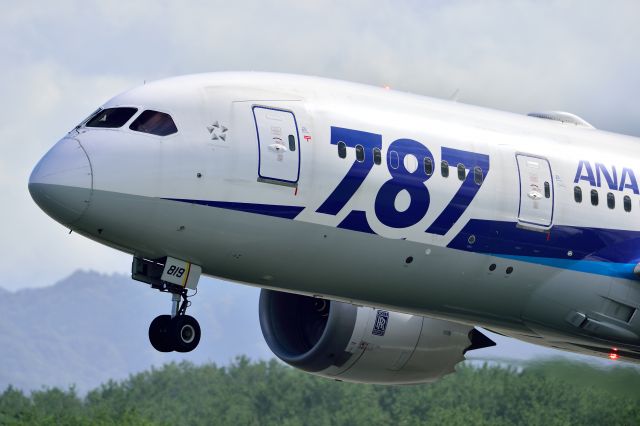Boeing 787-8 (JA819A)