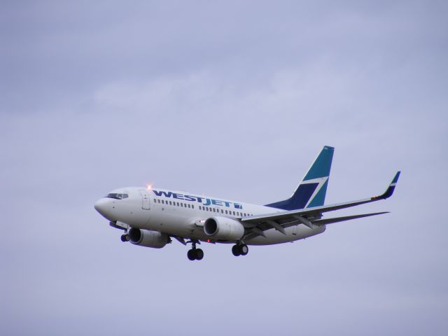 Boeing 737-800 (C-GYWJ)