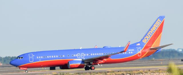 Boeing 737-800 (N8315C)