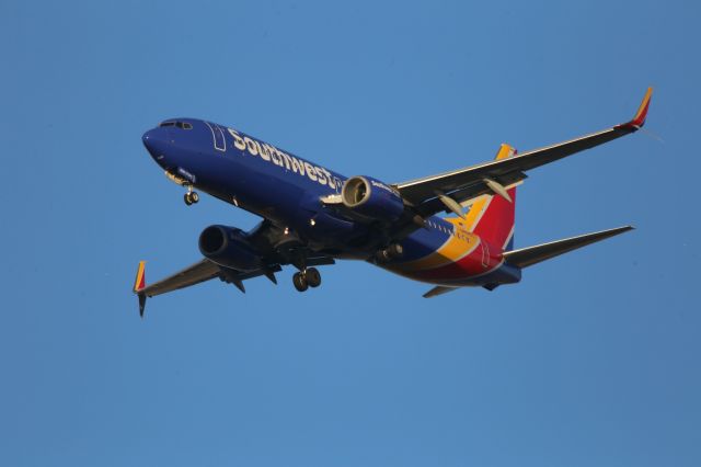 Boeing 737-800 (N8310C)