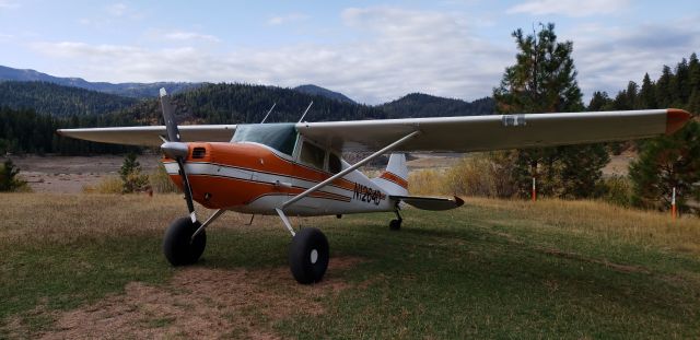 Cessna 170 (N1264D)