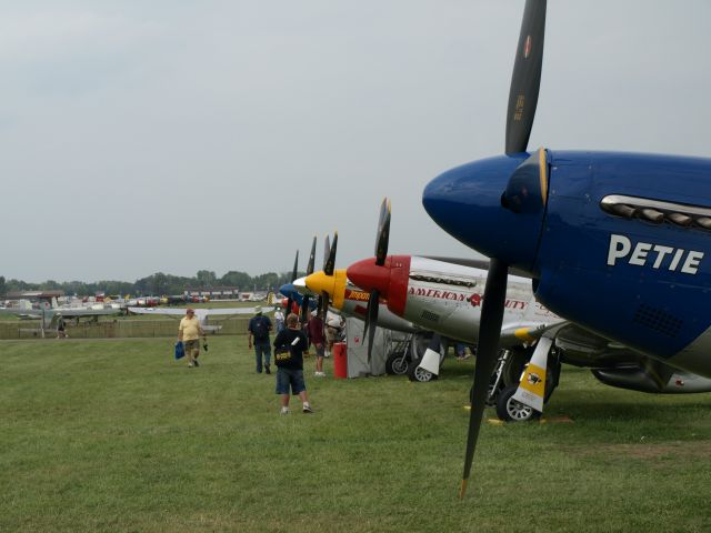 North American P-51 Mustang — - Mustang row at KOSH