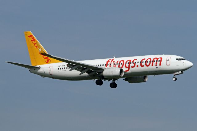 Boeing 737-800 (TC-AAE)