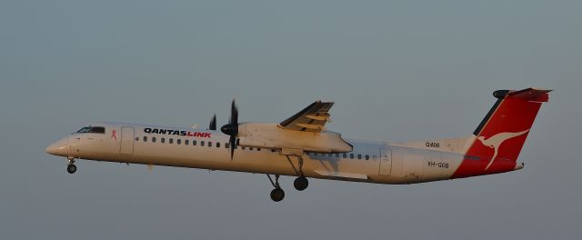 de Havilland Dash 8-400 (VH-QOB) - Taken in Gladstone in on 17 November 2014 late afternoon