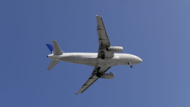 Airbus A319 (N805UA)