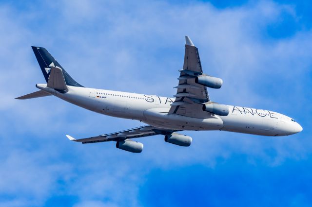 Airbus A340-300 (D-AIGW) - Lufthansa A340-300 in Star Alliance special livery on approach to DFW on 12/28/22. Taken with a Canon R7 and Tamron 150-600 G2 lens.