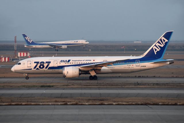 Boeing 787-8 (JA813A)