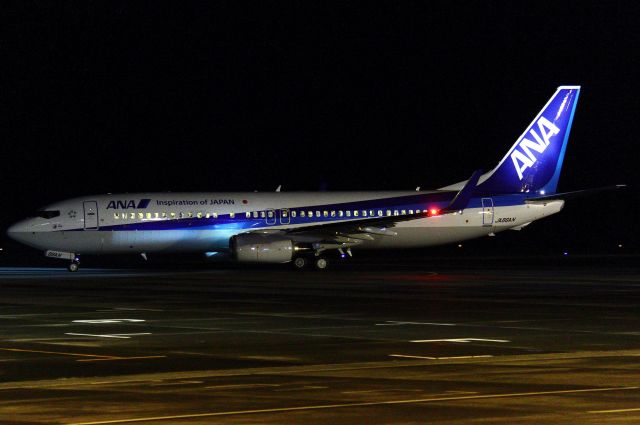 Boeing 737-800 (JA86AN)