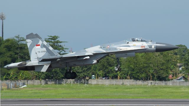 Sukhoi Su-27 Flanker (TSC2704)