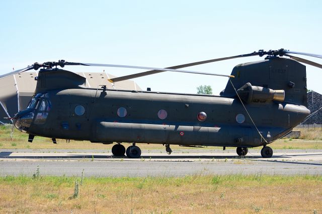 Boeing CH-47 Chinook (APJ81458) - A lot of helicopter activity that day, not only for Italian Blade 2015 exercise. 11° Gruppo