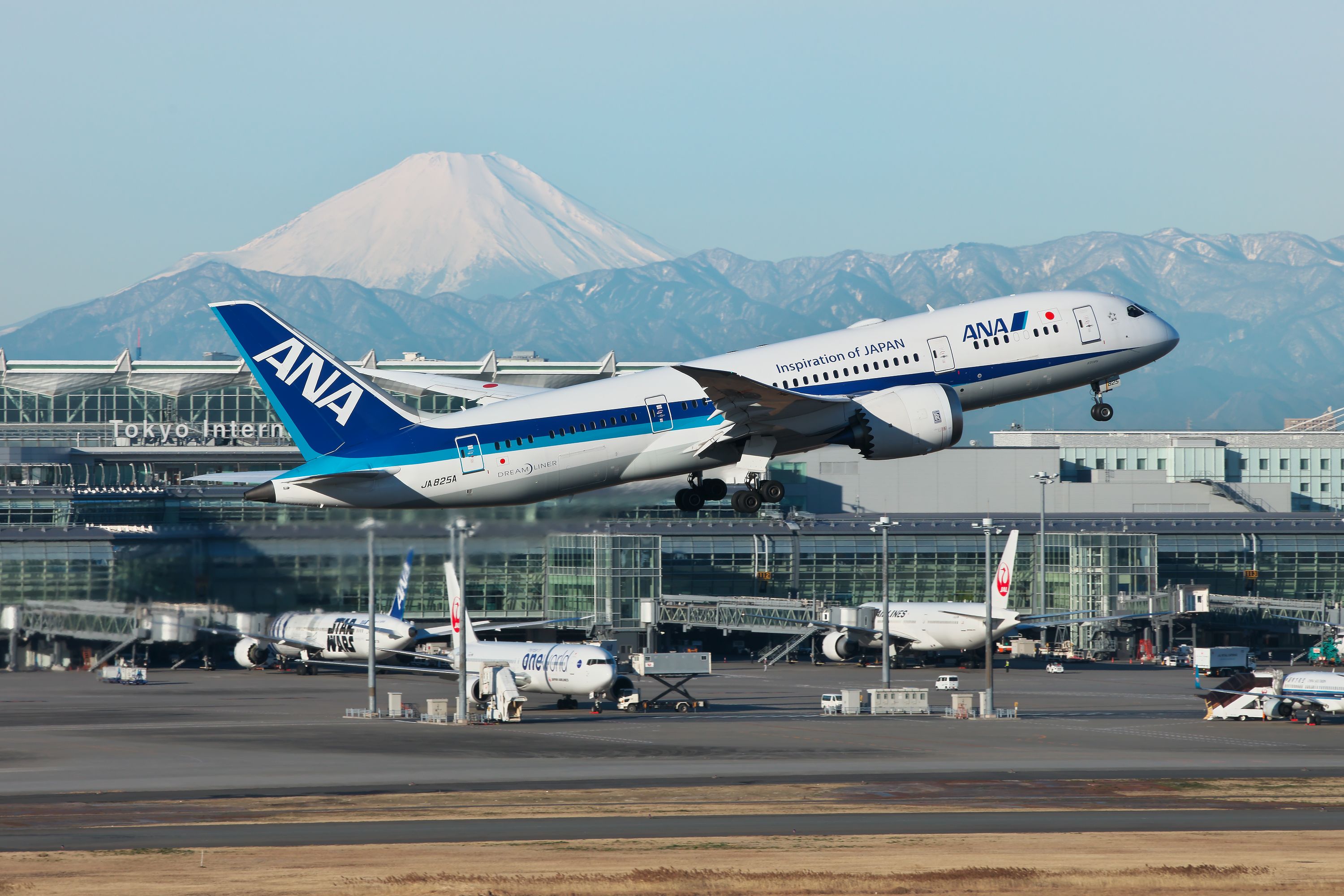 Boeing 787-8 (JA825A)