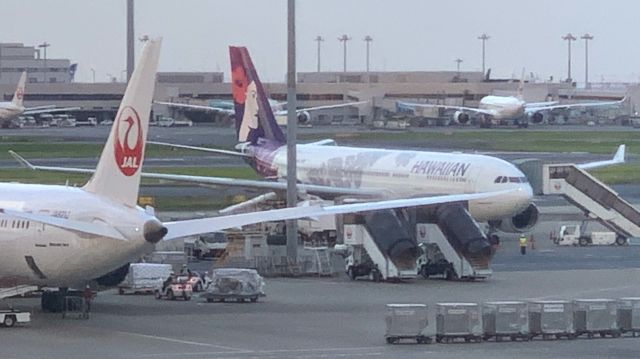 Airbus A330-200 (N389HA) - Taken on May 8, 2023br /br /"Keali'iokonaikalewa"