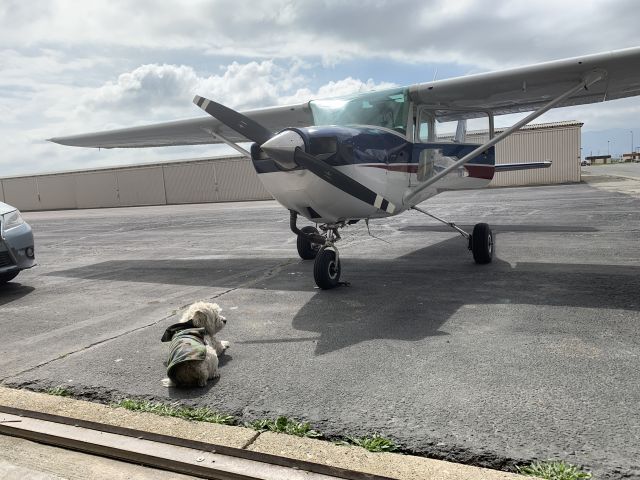 Cessna Commuter (N150SH) - Piper guarding the Cessna
