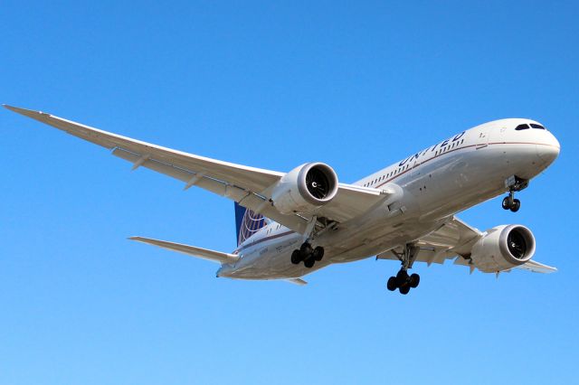 Boeing 787-8 (N26906) - United flight 199 completing its 11 hour flight from Shanghai.