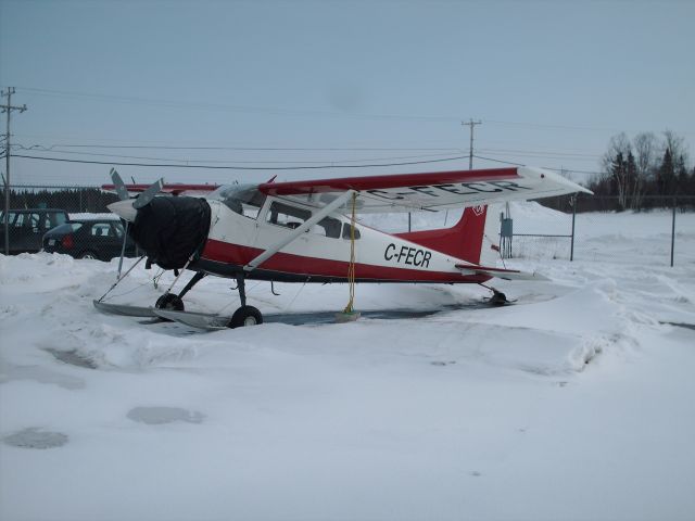 Cessna Skywagon (C-FECR)