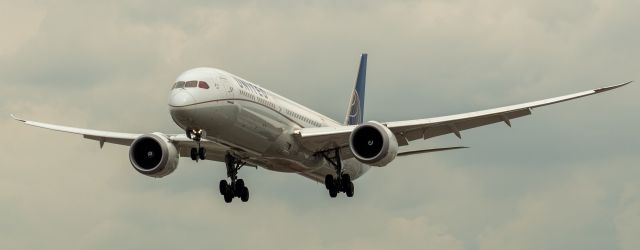 BOEING 787-10 Dreamliner (N14001) - United Airlines Boeing 787-10 arriving from Houston Bush Intercontinental landing on runway 29 at Newark on 8/4/21.