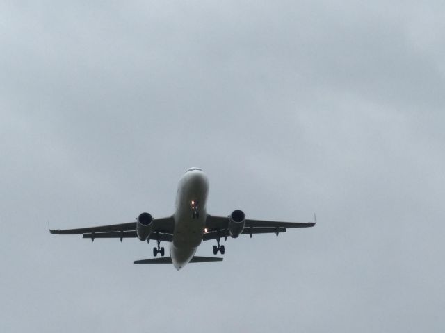 Boeing 737-800 (B-5338) - On a rainy and foggy day.