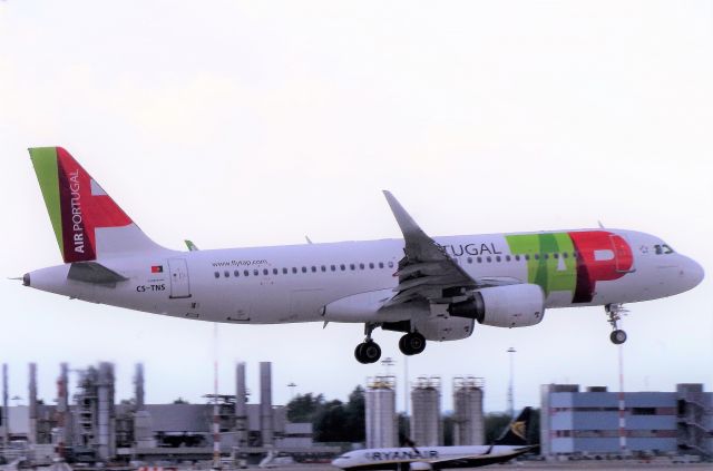 Airbus A320 (CS-TNS)