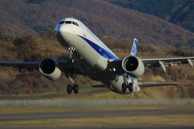 Airbus A321 (JA133A) - November 10th 2019:HKD-HND.