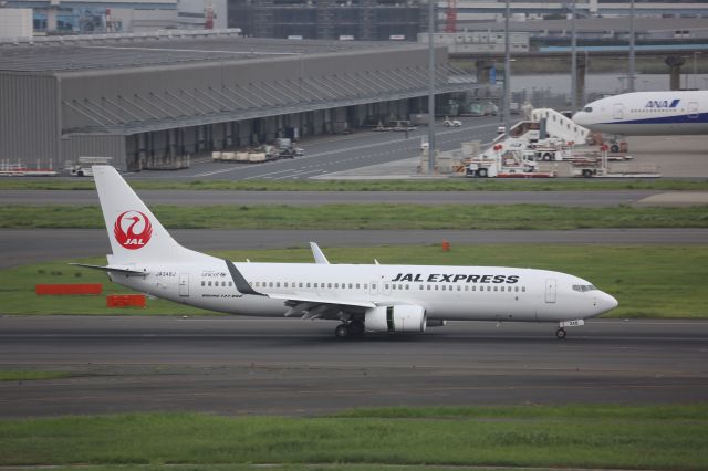 Boeing 737-800 (JA348J)