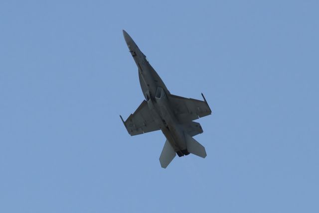 McDonnell Douglas FA-18 Hornet —