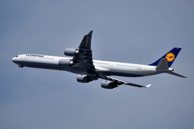 Airbus A340-600 (D-AIHN)