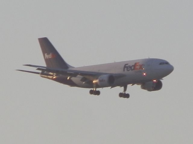 Airbus A310 (N455FE)