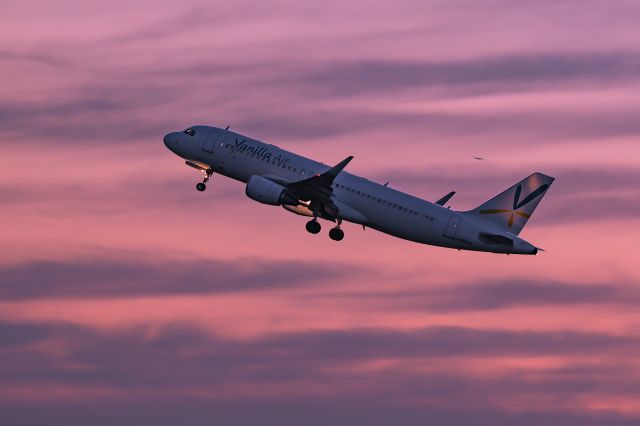 Airbus A320 (JA03VA)