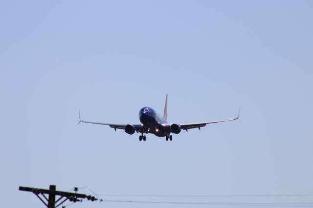 Boeing 737-800 (N8317M)