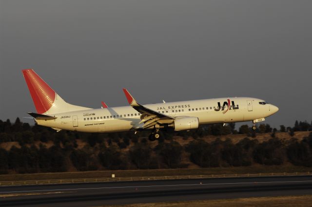 Boeing 737-800 (JA334J) - Landing at NRT Airport Runway 16L on 2011/12/29 JAL c/s