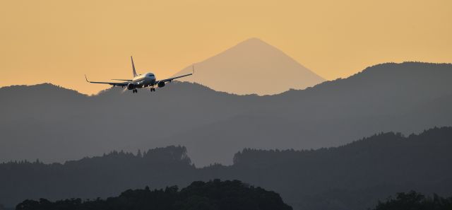 Boeing 737-800 (JA306J)