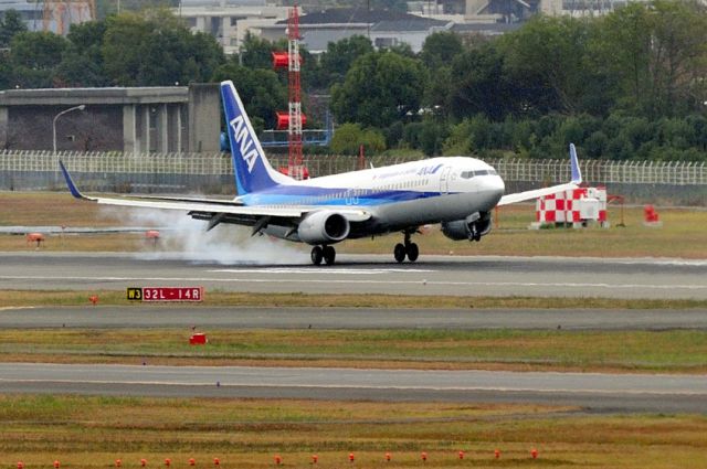 Boeing 737-800 (JA60AN) - Smokey landing