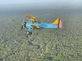 N219 thumbnail