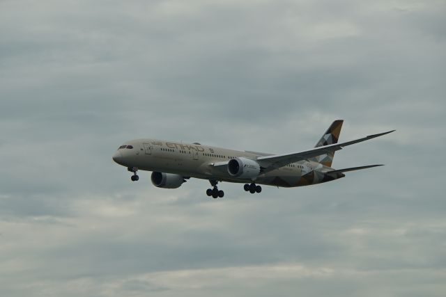 Boeing 787-8 (A6-BLA)