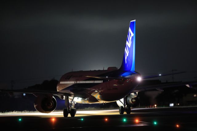 Airbus A320 (JA219A) - July 27th 2020:HKD-HND.