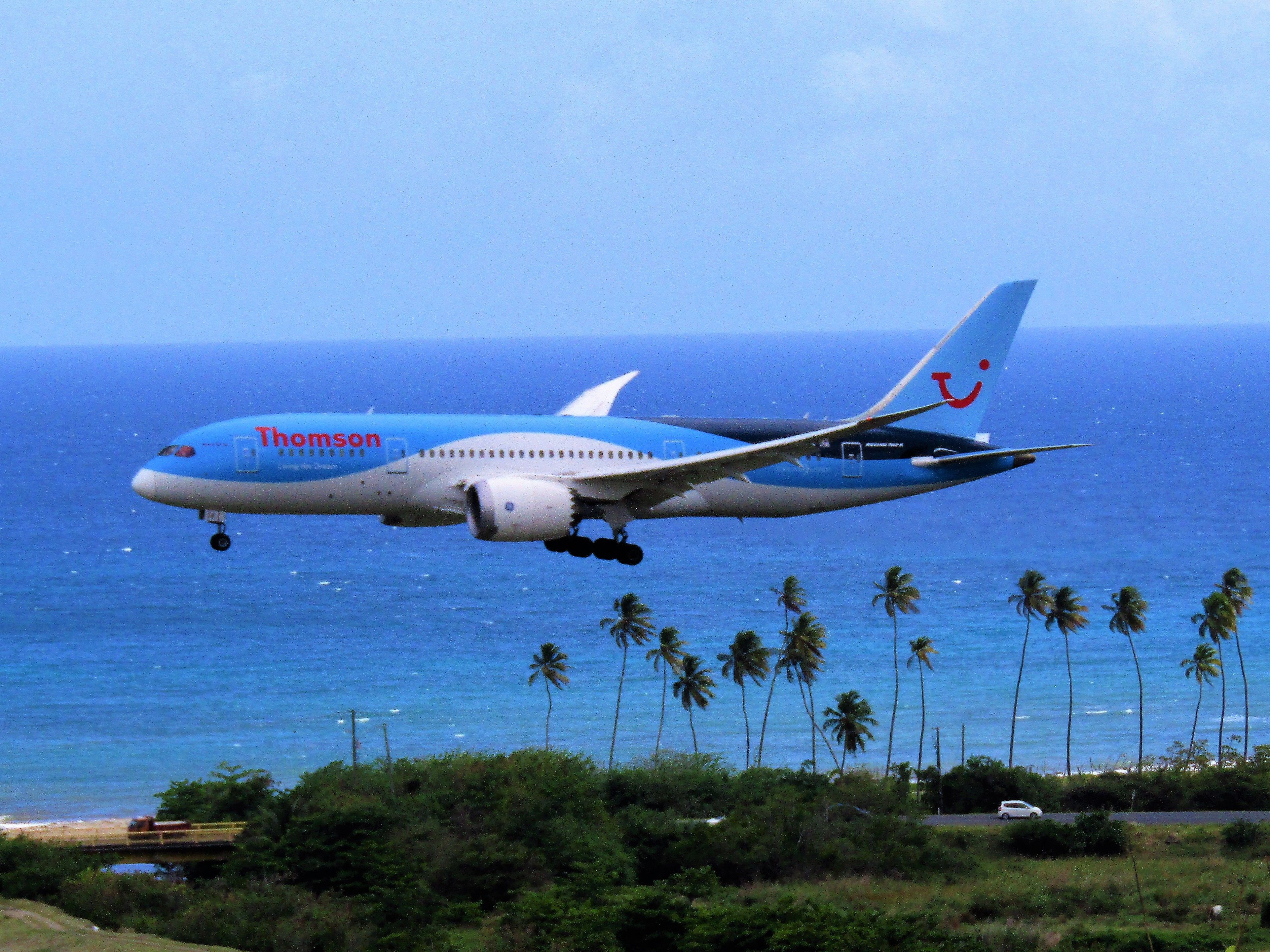 Boeing 787-8 (G-TUIA)