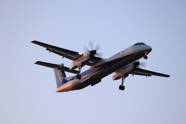 de Havilland Dash 8-400 (JA851A) - April 5th 2021:CTS-HKD.