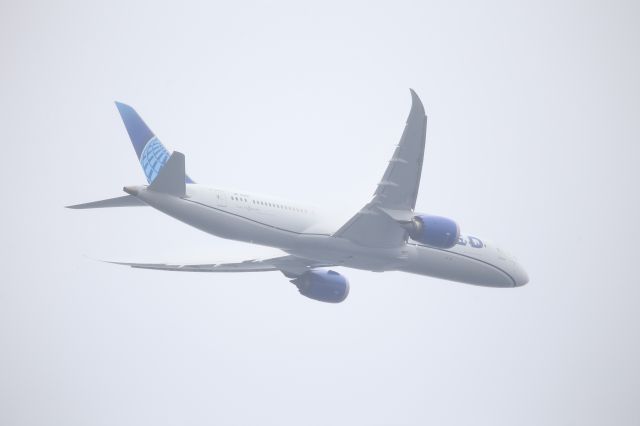 Boeing 787-9 Dreamliner (N29981)