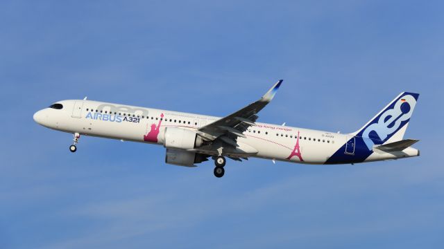 Airbus A321 (D-AVZO)