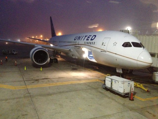 Boeing 787-8 (N20904) - The fourth commercial flight for this aircraft, taken from inside the terminal.