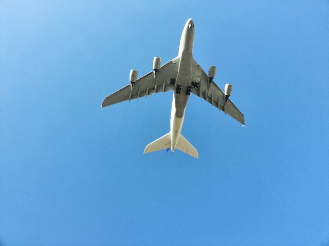 Airbus A380-800 (D-AIMD) - Belly Shot!