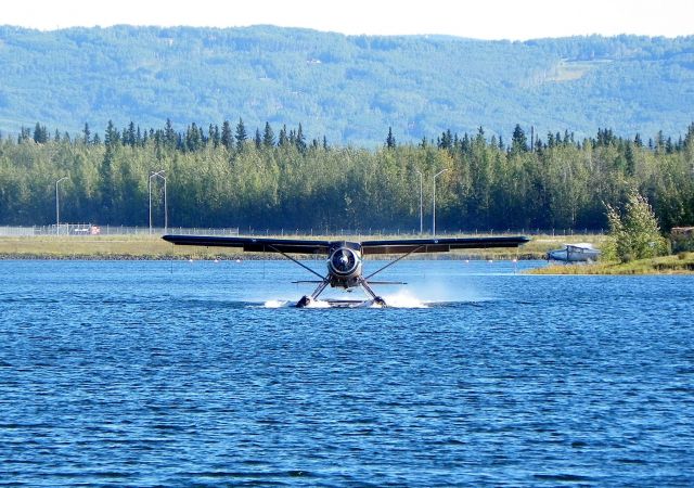 De Havilland Canada DHC-2 Mk1 Beaver — - Shes beautiful.