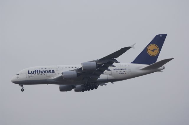 Airbus A380-800 (D-AIMG) - Final Approach to NRT Airport R/W34L on 2012/01/02