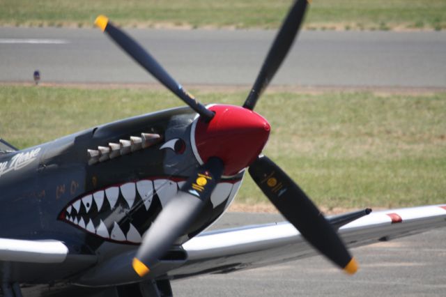 CURTISS Warhawk (GAQ) - Warbirds Downunder Temora NSW 2015