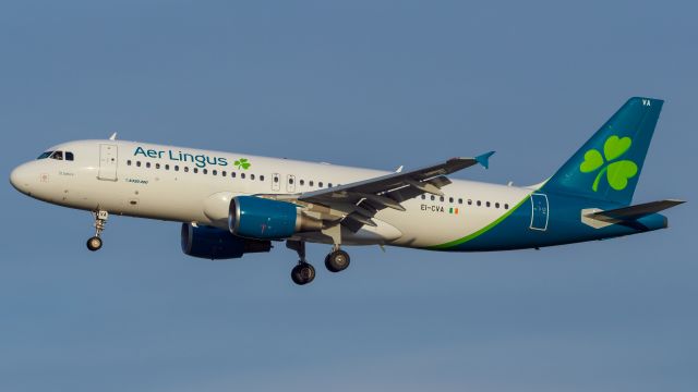 Airbus A320 (EI-CVA) - New livery